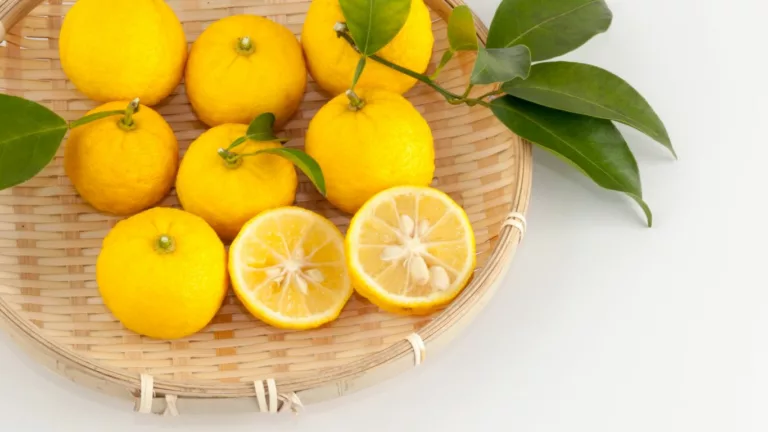 Can Oranges Trigger Acid Reflux? – Everything You Need to Know