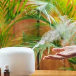 Enhancing Asthma Management: Benefits of Humidifiers