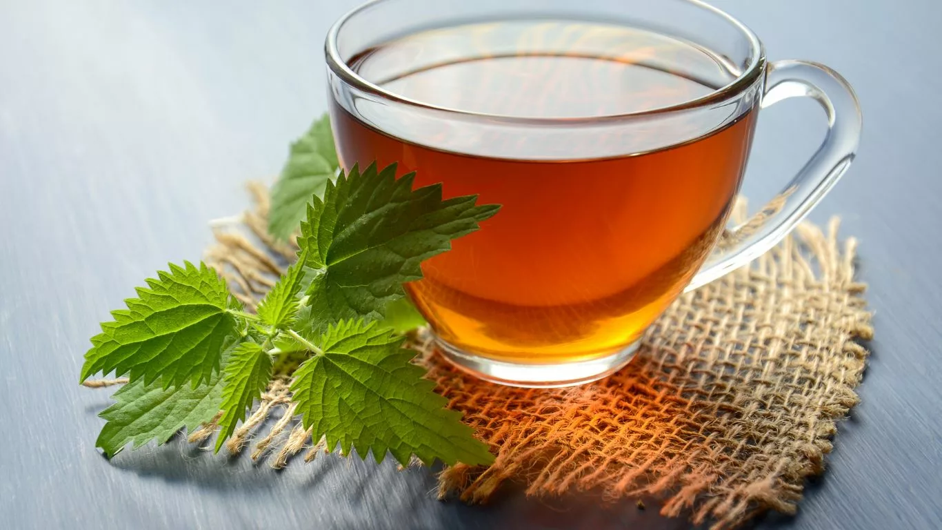 Embracing Herbal Teas for Optimal Digestive Wellness
