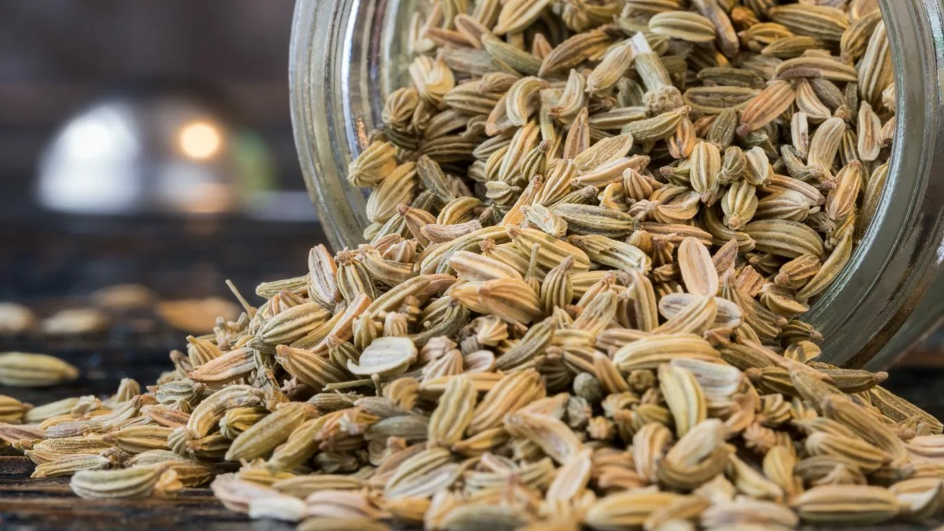 Fennel Seeds for GERD Relief: A Natural Approach