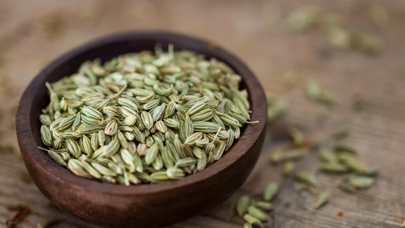 How Fennel Seeds Contribute to GERD Relief