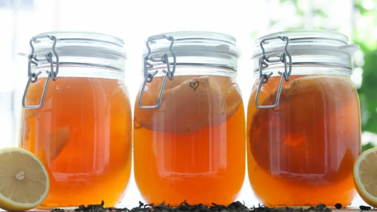 Can Kombucha Help with GERD? Exploring a Fermented Solution