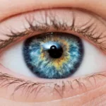 Understanding Eye Floaters and Vitamin Benefits