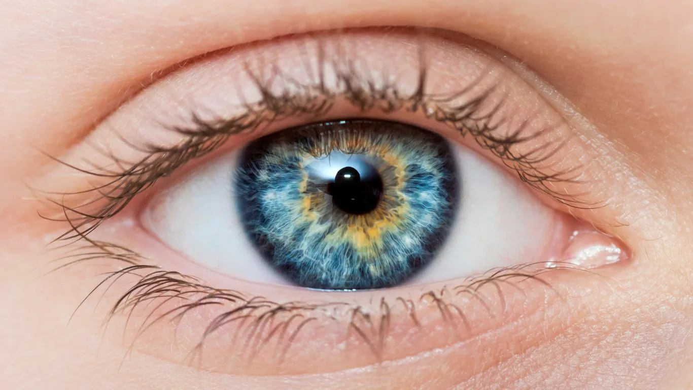 Understanding Eye Floaters and Vitamin Benefits
