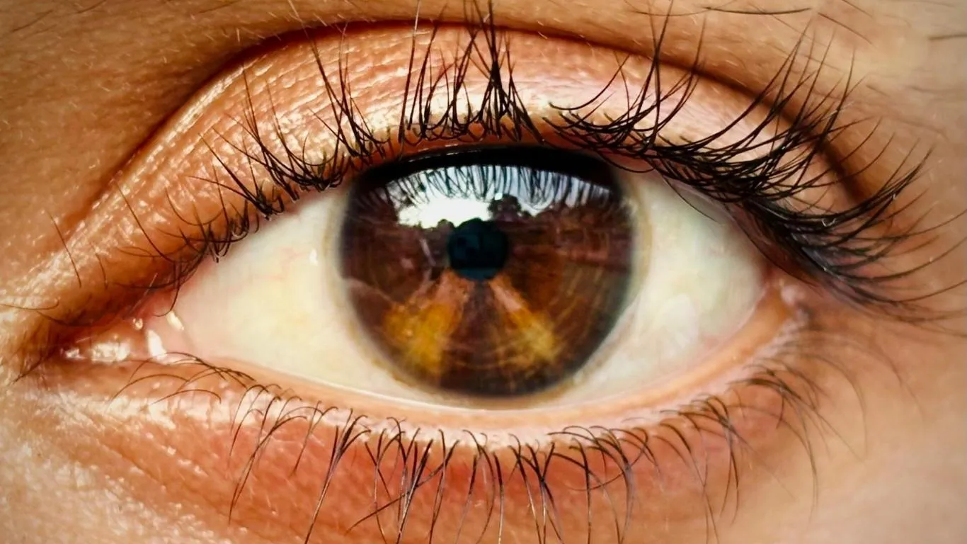 Age-related eye changes visual chart