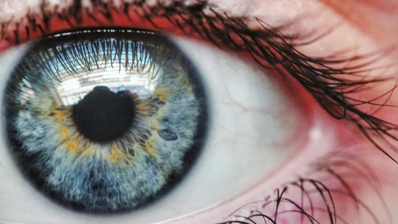 Eye Specialist for Floaters Zones