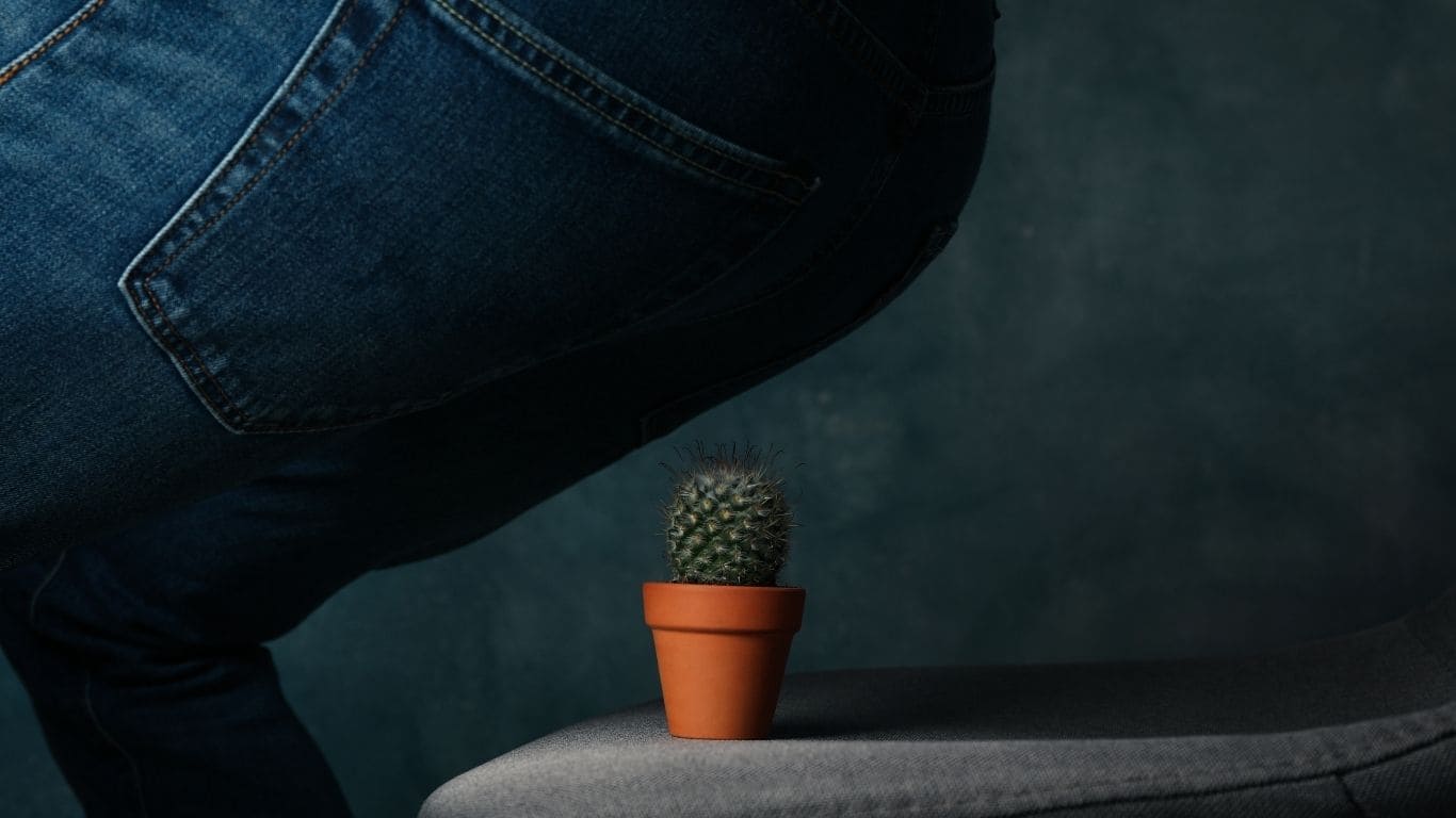 Rectal bleeding hemorrhoids illustration